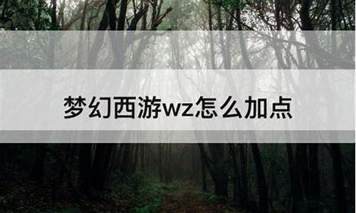 wz怎么加点_加点技巧